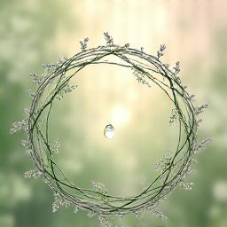 Abstract depiction of balanced hormones, perhaps with elegant intertwined natural elements or flowing light